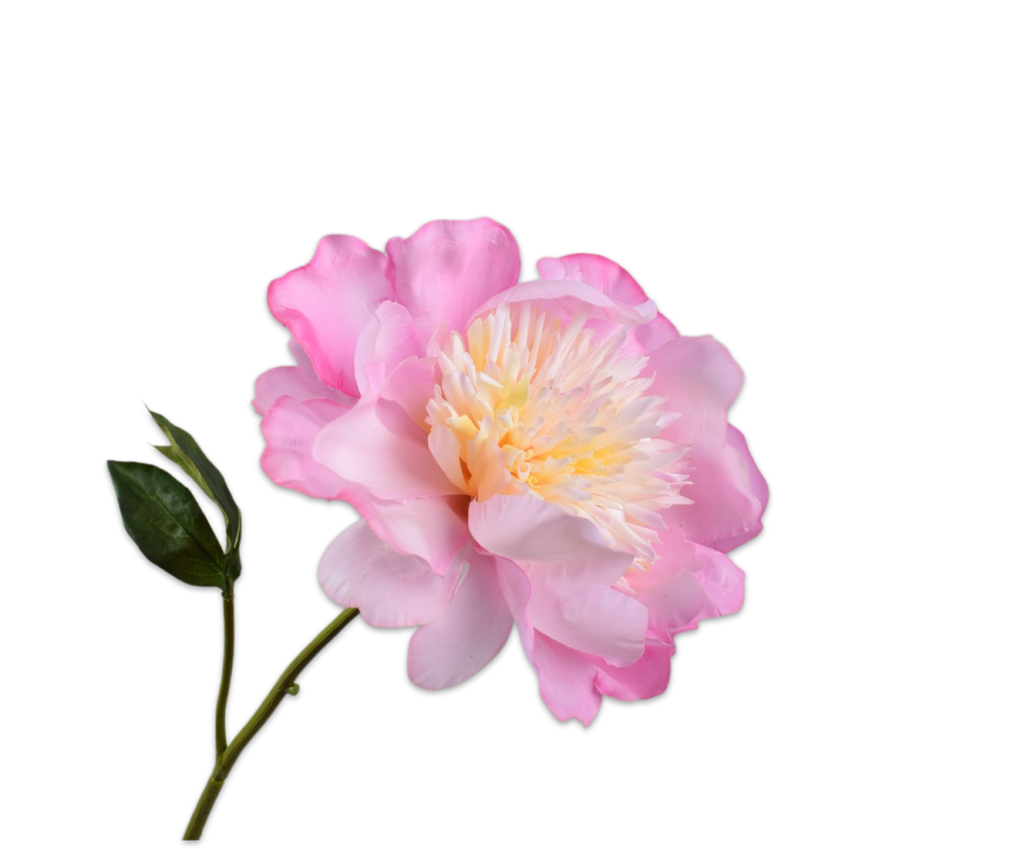 Peony | Pivoine 56cm RealTouch Pink