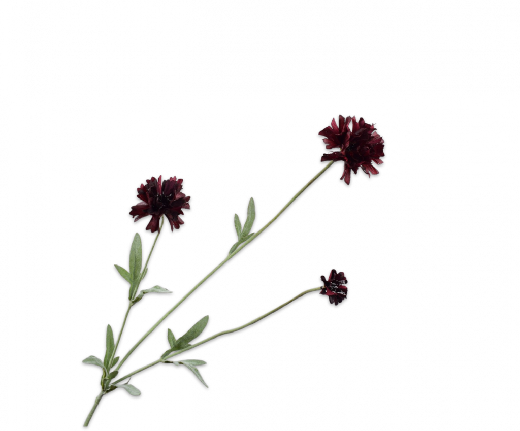 Cornflower | Bleuet 65cm RealTouch Burgundy