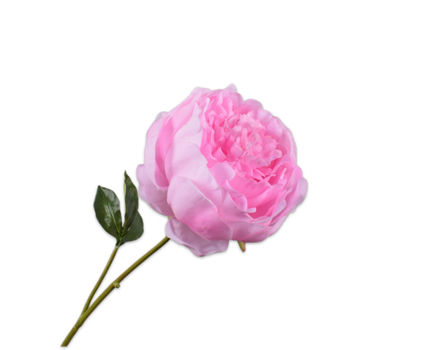 Peony | Pivoine 52cm RealTouch Pink