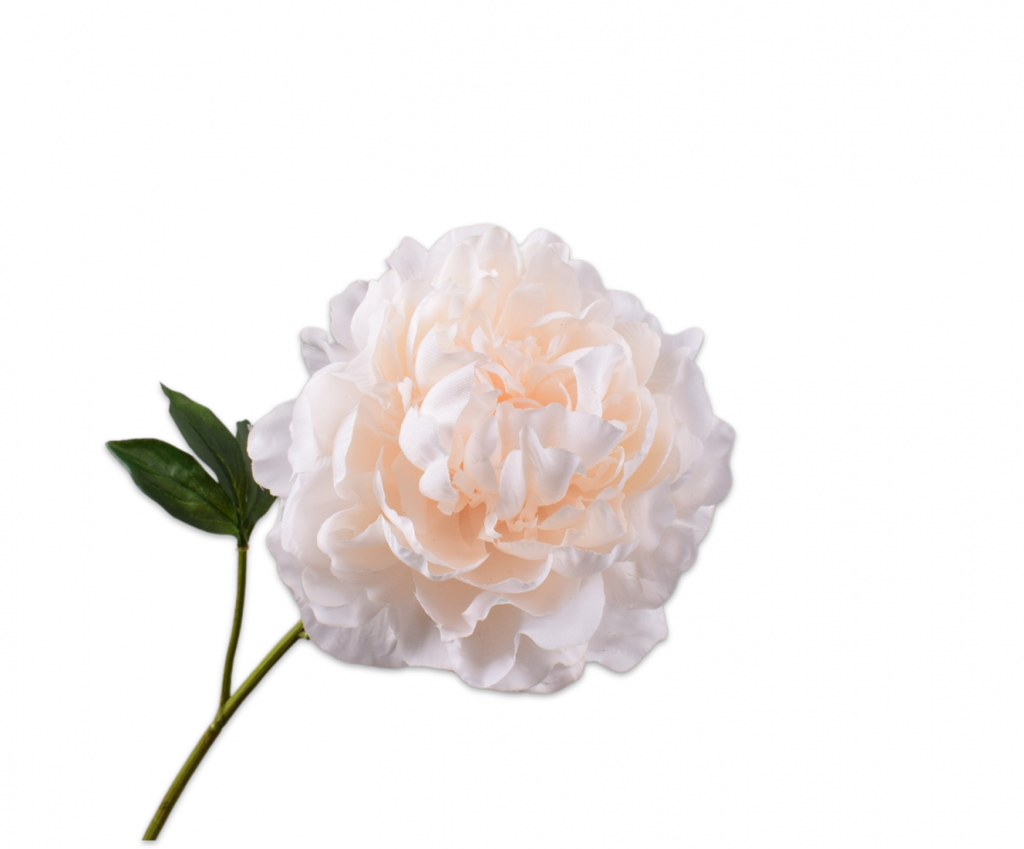 Peony | Pivoine 57cm RealTouch Peach