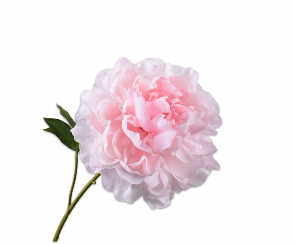 Peony | Pivoine 57cm RealTouch Light Pink