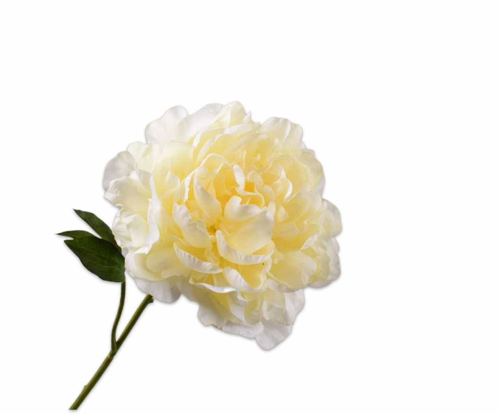 Peony | Pivoine 57cm RealTouch Light Yellow
