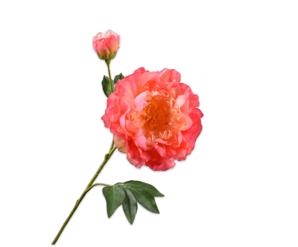 Peony | Pivoine 79cm RealTouch Salmon