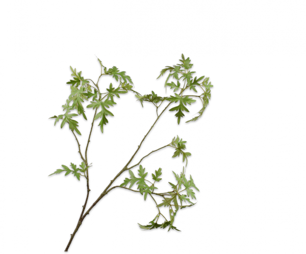 Greenery | Feuillage 75cm Green