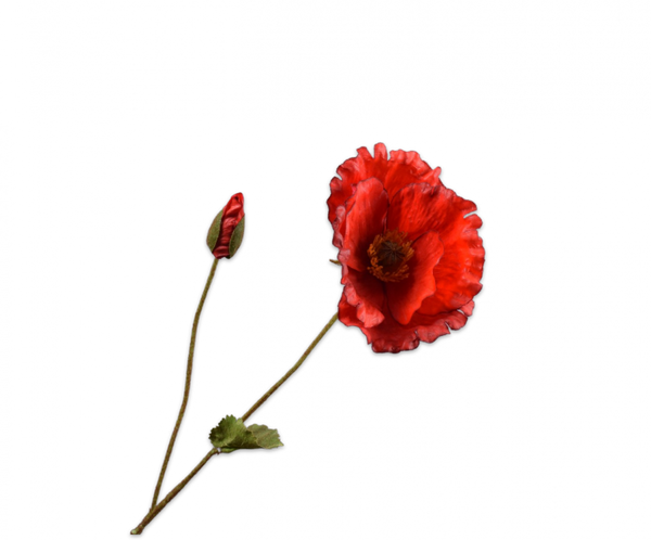 Poppy | Pavot 68cm RealTouch Red