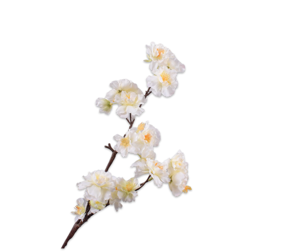 Cherry Blossom | Fleurs de Cerisier 63cm White