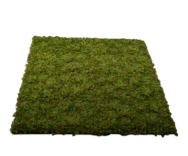 Moss Square | Carré de mousse 100cm Light Green