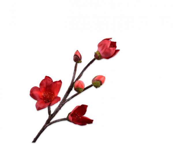 Bombax 99cm Red
