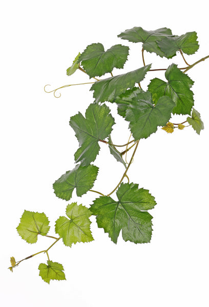 Grapevine | Vigne 62cm UVsafe