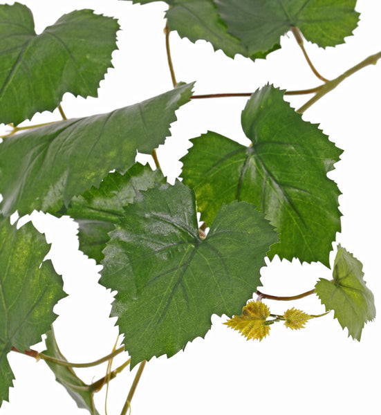 Grapevine | Vigne 62cm UVsafe