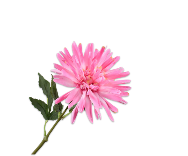 Dahlia 59cm Light Pink