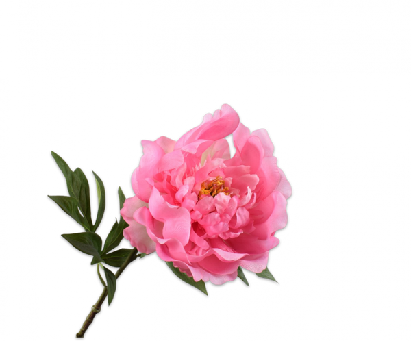 Peony | Pivoine 61cm Pink