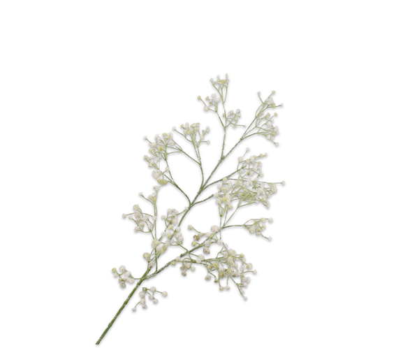 Gypsophila 90cm White