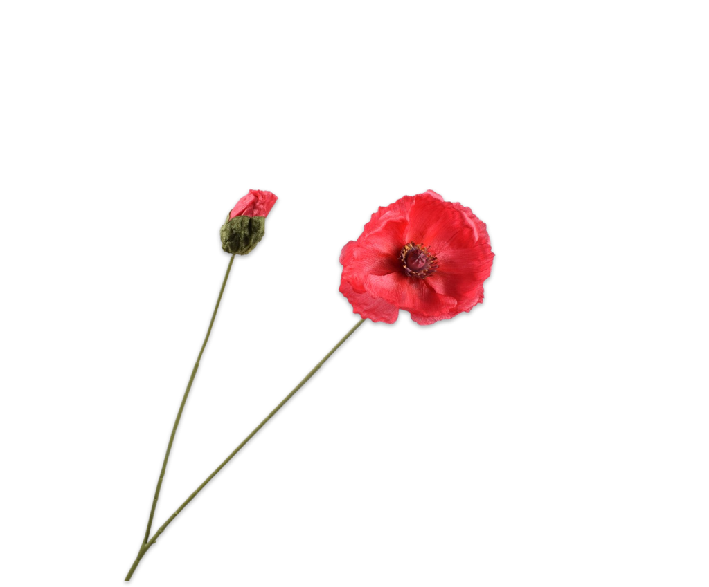 Poppy | Pavot Coquelicot 82cm Red