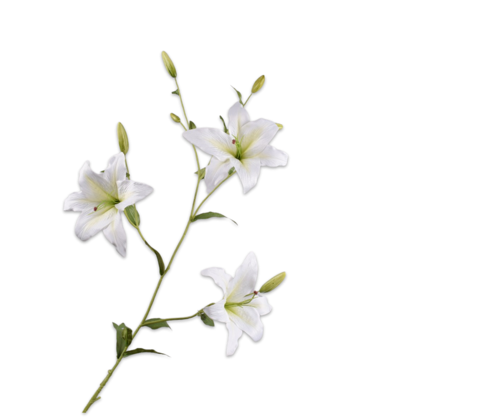Lily | Lys 132cm White