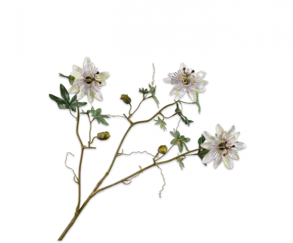 Passion flower | Passiflore 102cm Cream Purple