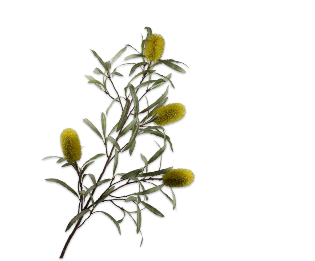 Protea 136cm Yellow Green