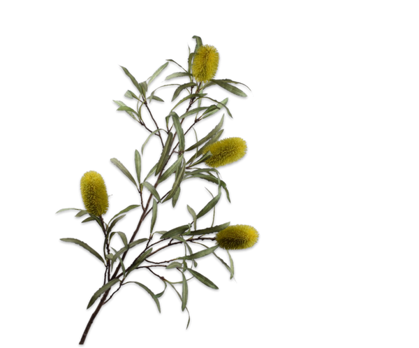 Protea 136cm Yellow Green