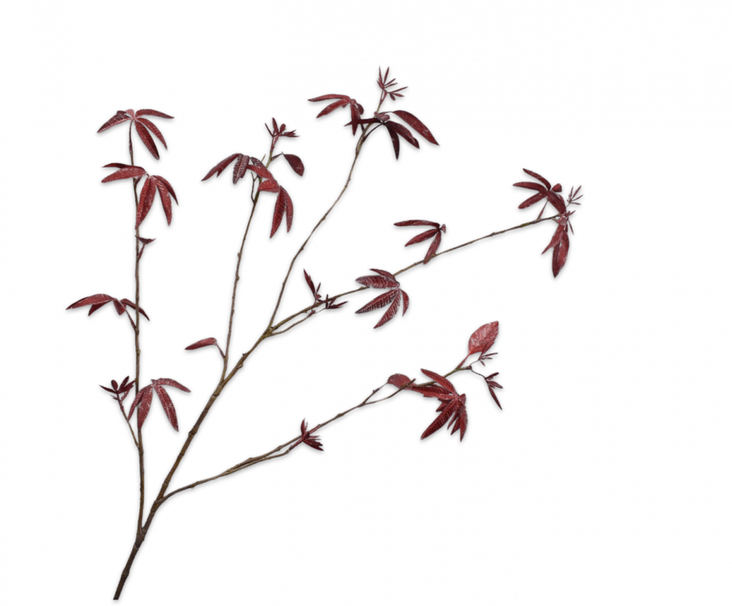 Maple | Érable 126cm Burgundy