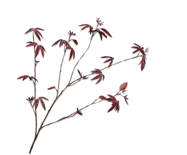 Maple | Érable 126cm Burgundy