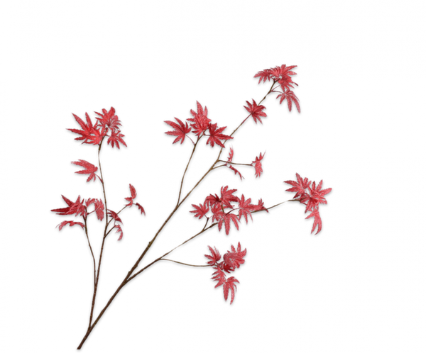 Maple | Érable 116cm Red