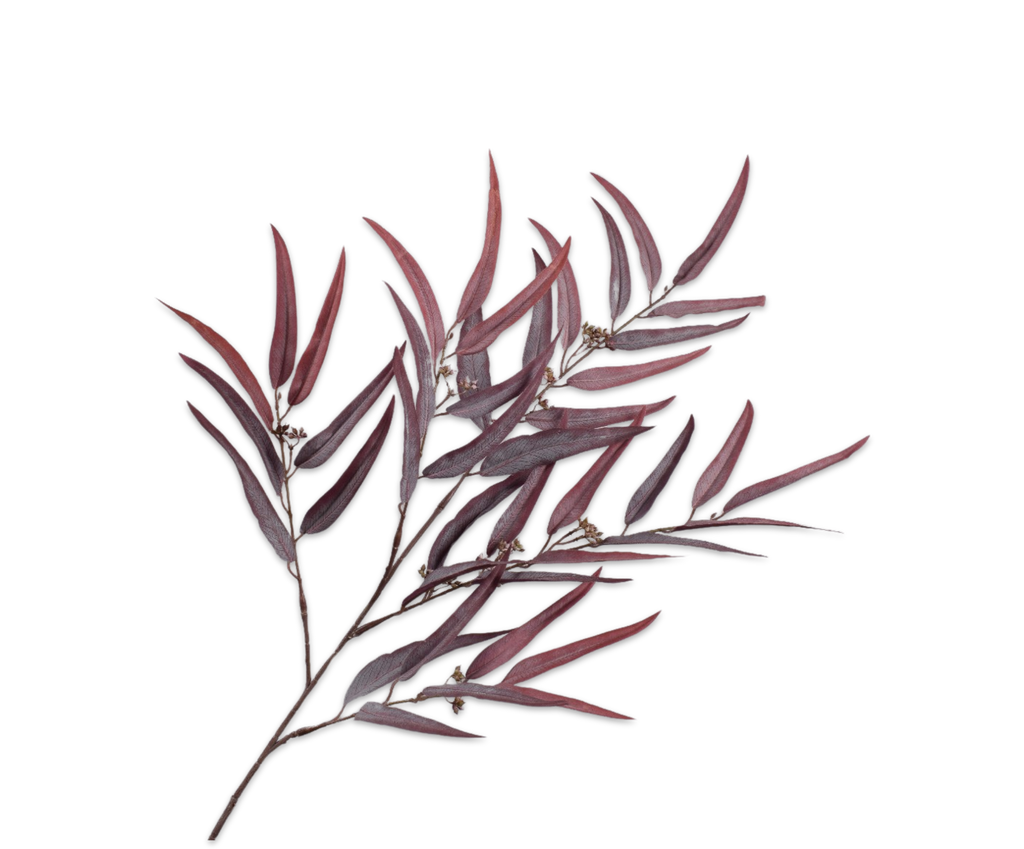 Eucalyptus 123cm Purple