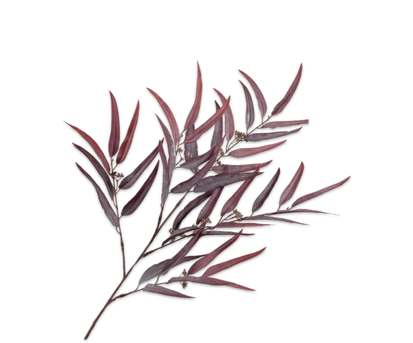 Eucalyptus 123cm Purple
