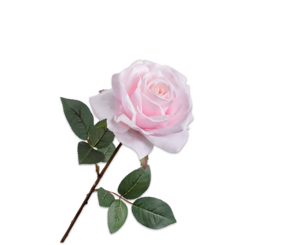 Rose 68cm RealTouch Light Pink
