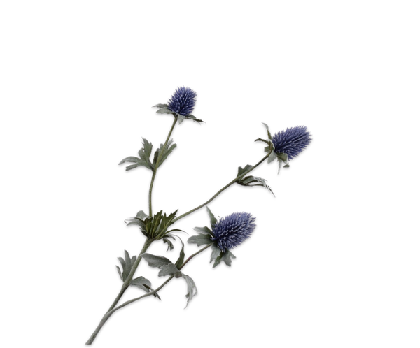 Thistle | Chardon 78cm Blue