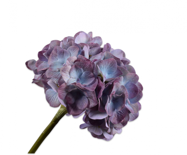 Hydrangea | Hortensia 48cm Blue