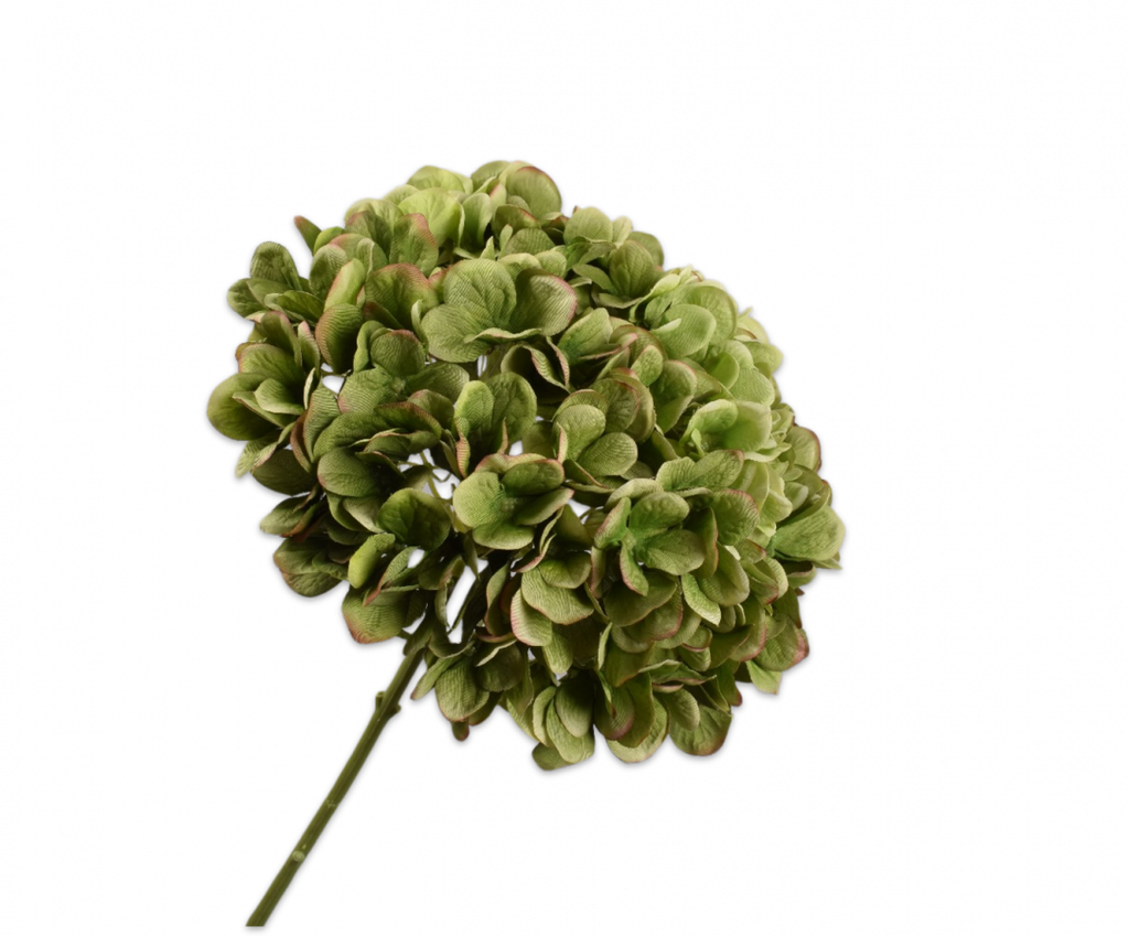 Hydrangea | Hortensia 86cm Green