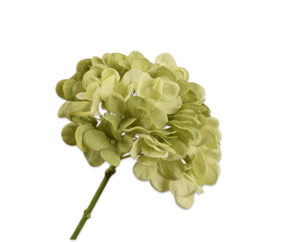 Hydrangea | Hortensia 48cm Light Green