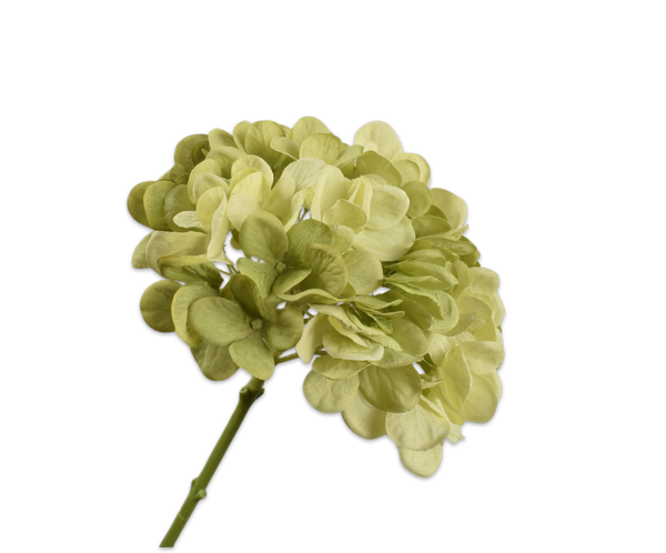 Hydrangea | Hortensia 48cm Light Green