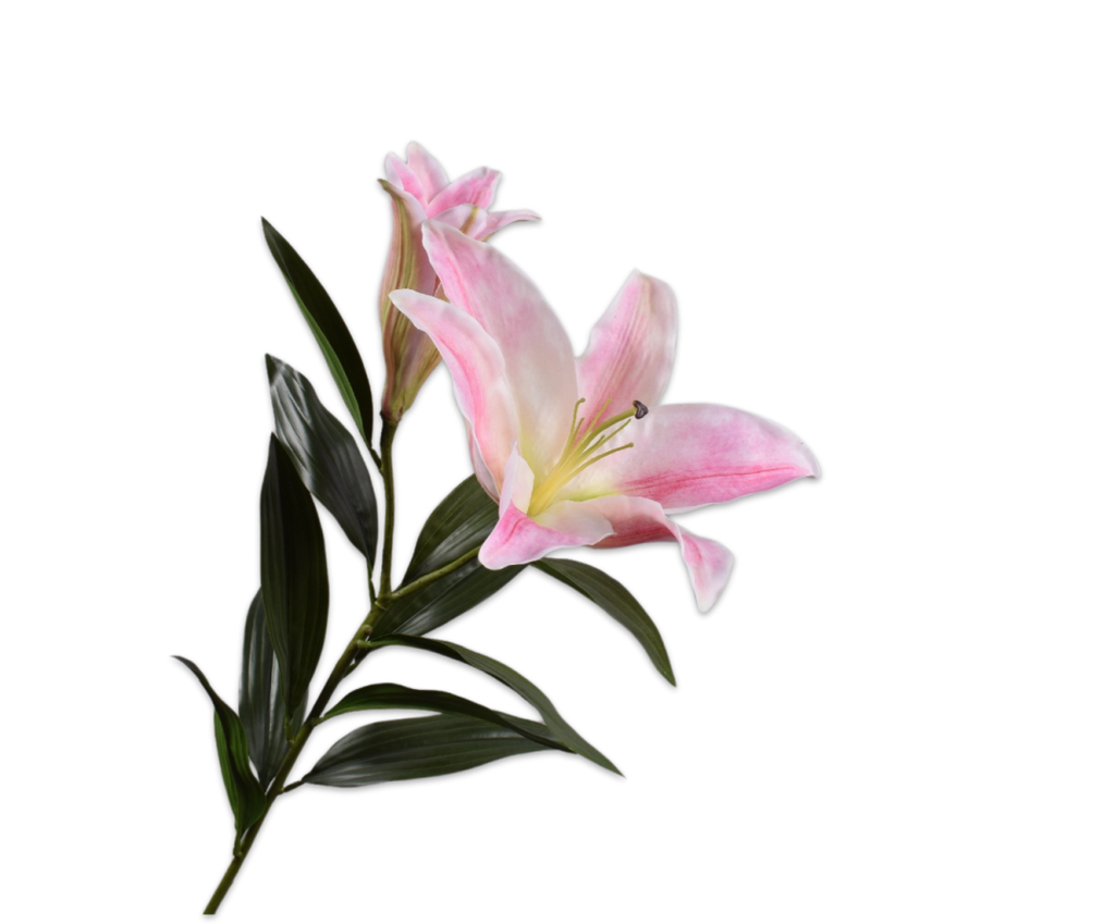 Lily | Lys 100cm Pink Cream