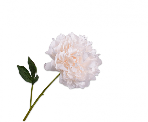 Peony | Pivoine 57cm RealTouch Cream