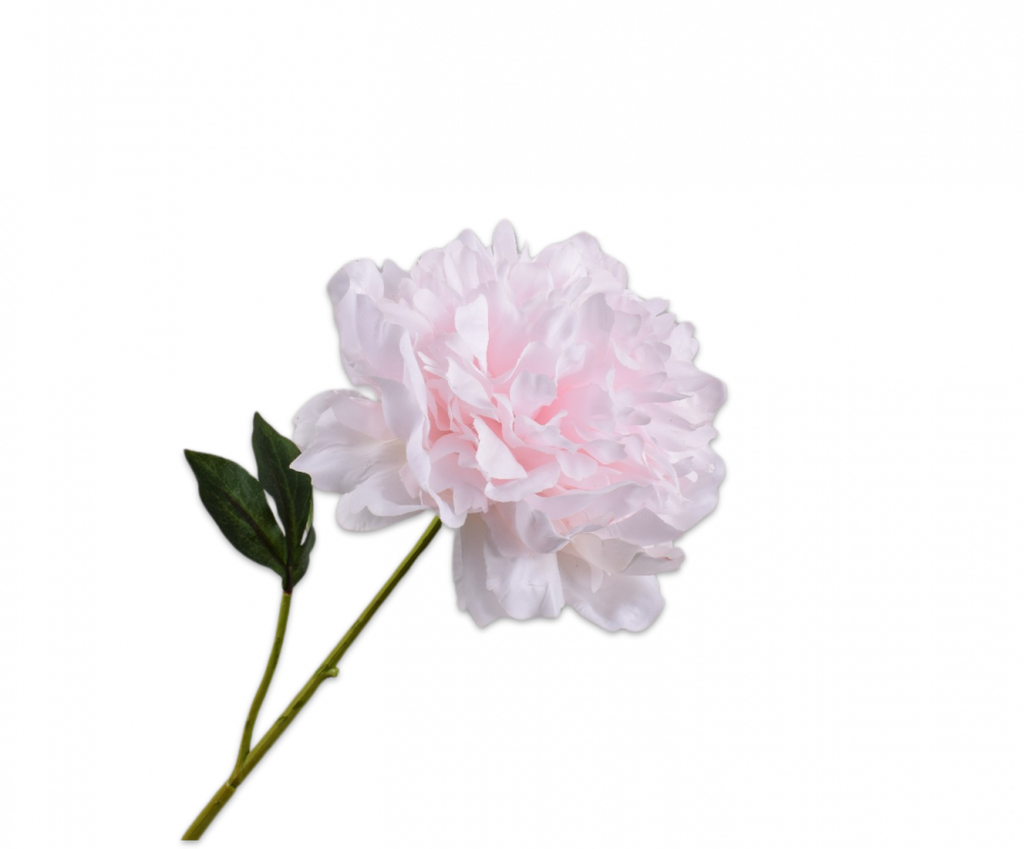 Peony | Pivoine 57cm RealTouch Light Pink