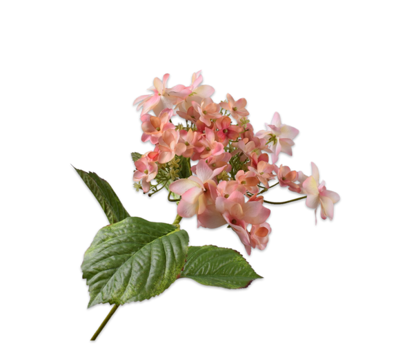 Hydrangea | Hortensia 74cm RealTouch Peach