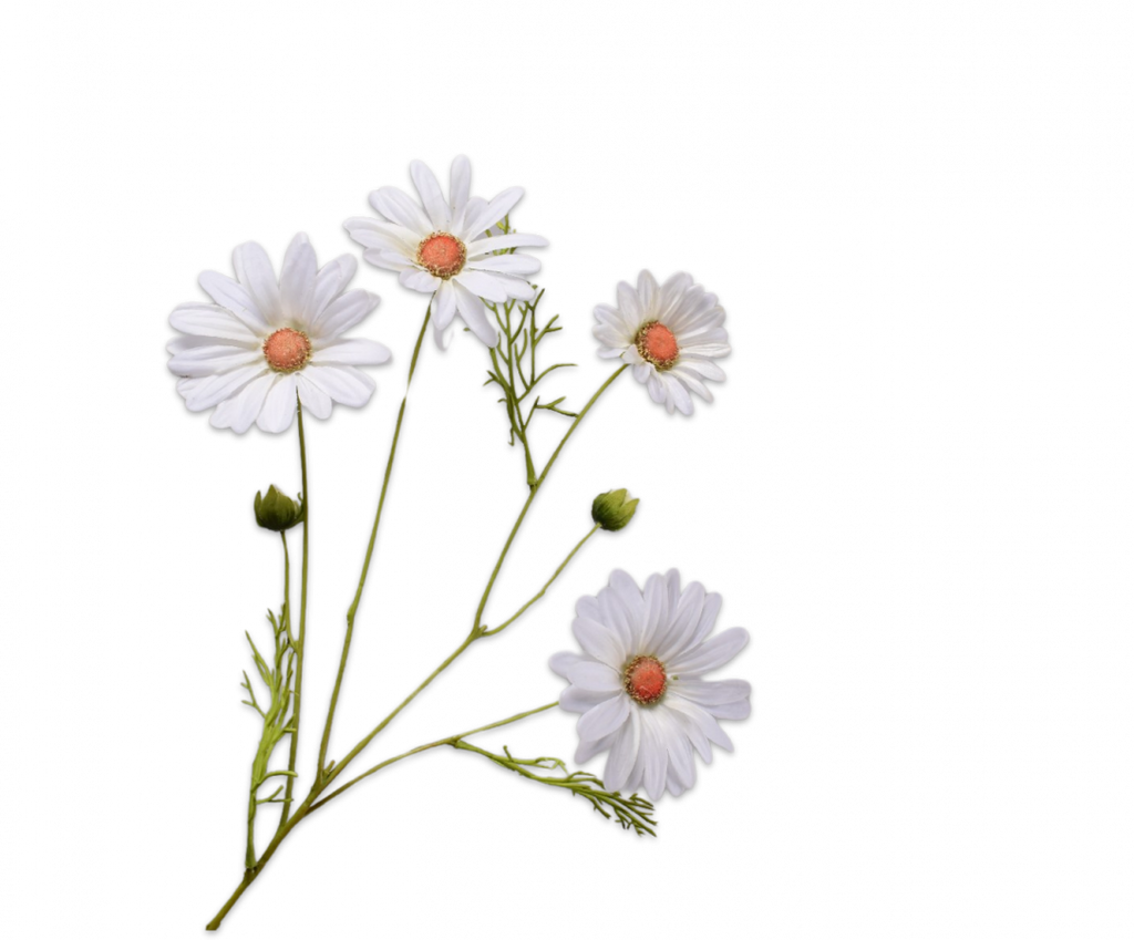 Daisy | Marguerite 60cm RealTouch Cream