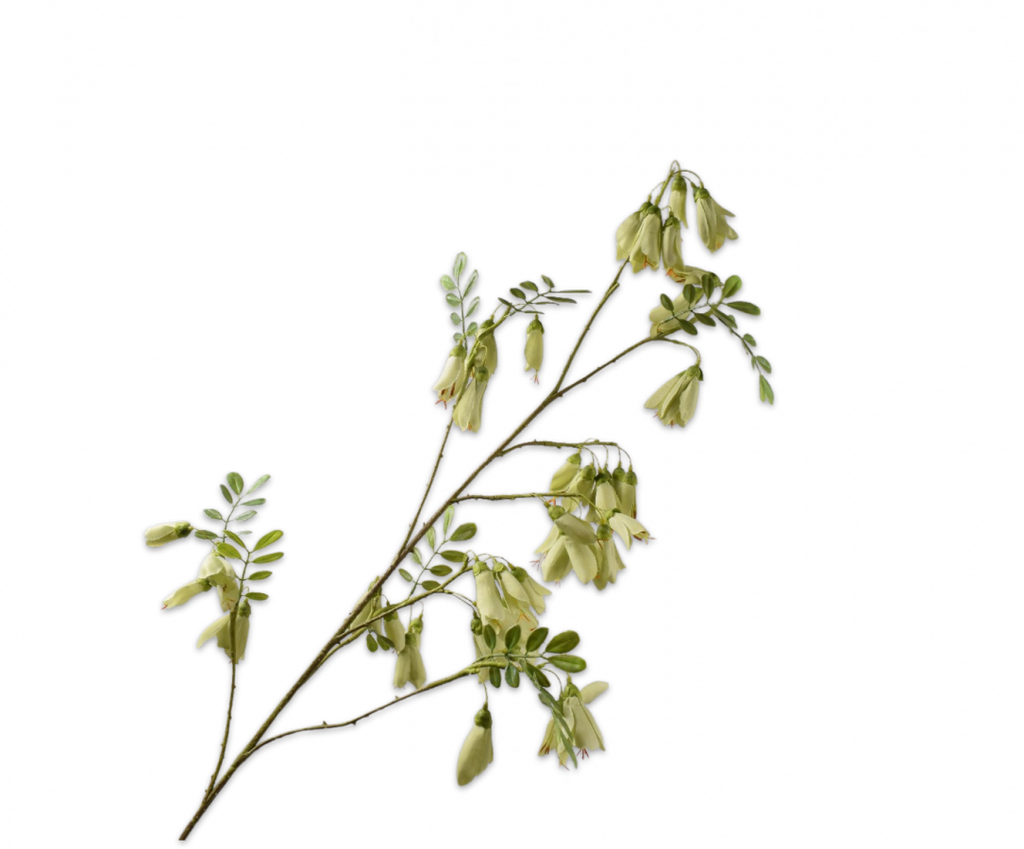 Campanula 118cm Green