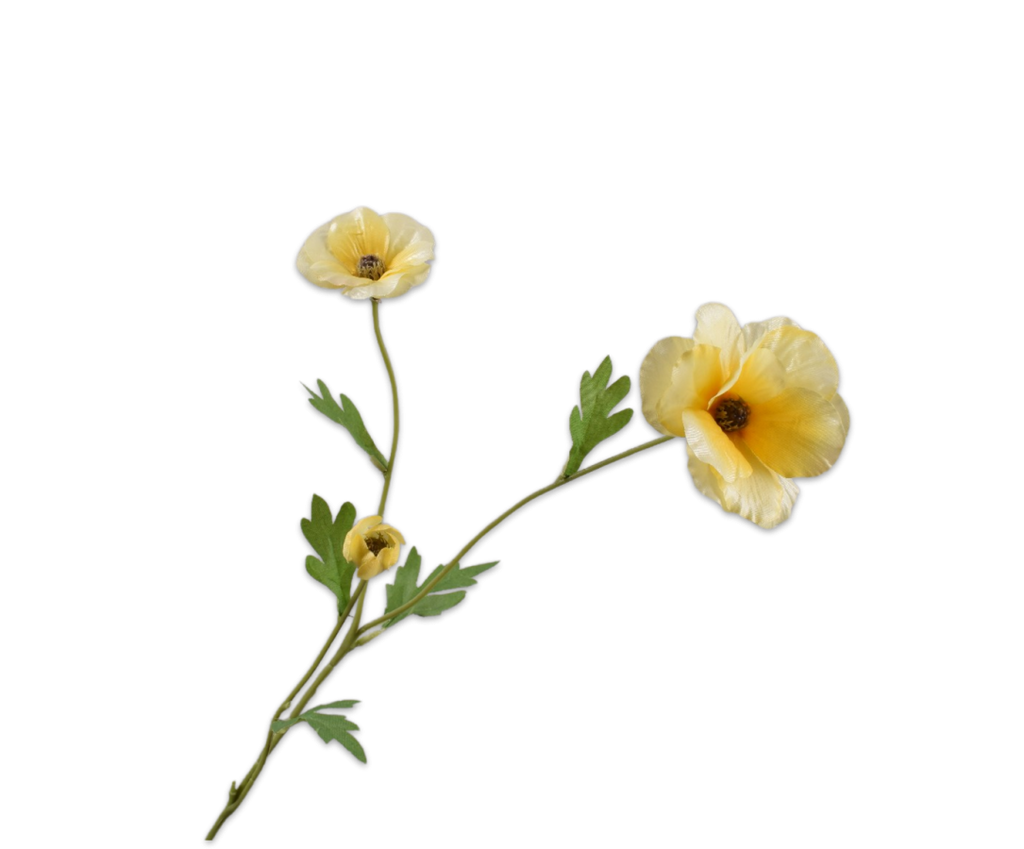 Ranunculus | Renoncule 58cm Light Yellow