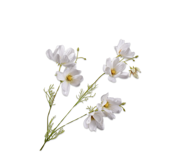 Daisy | Marguerite 56cm Cream