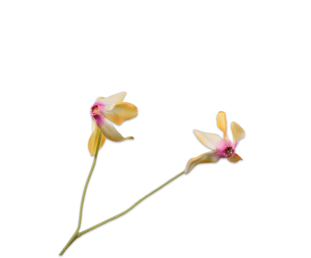 Cyclamen 58cm Yellow Pink