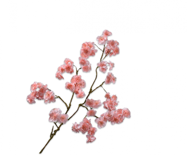 Blossom | Floraison 99cm Pink