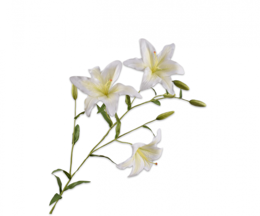 Lily | Lys 137cm White