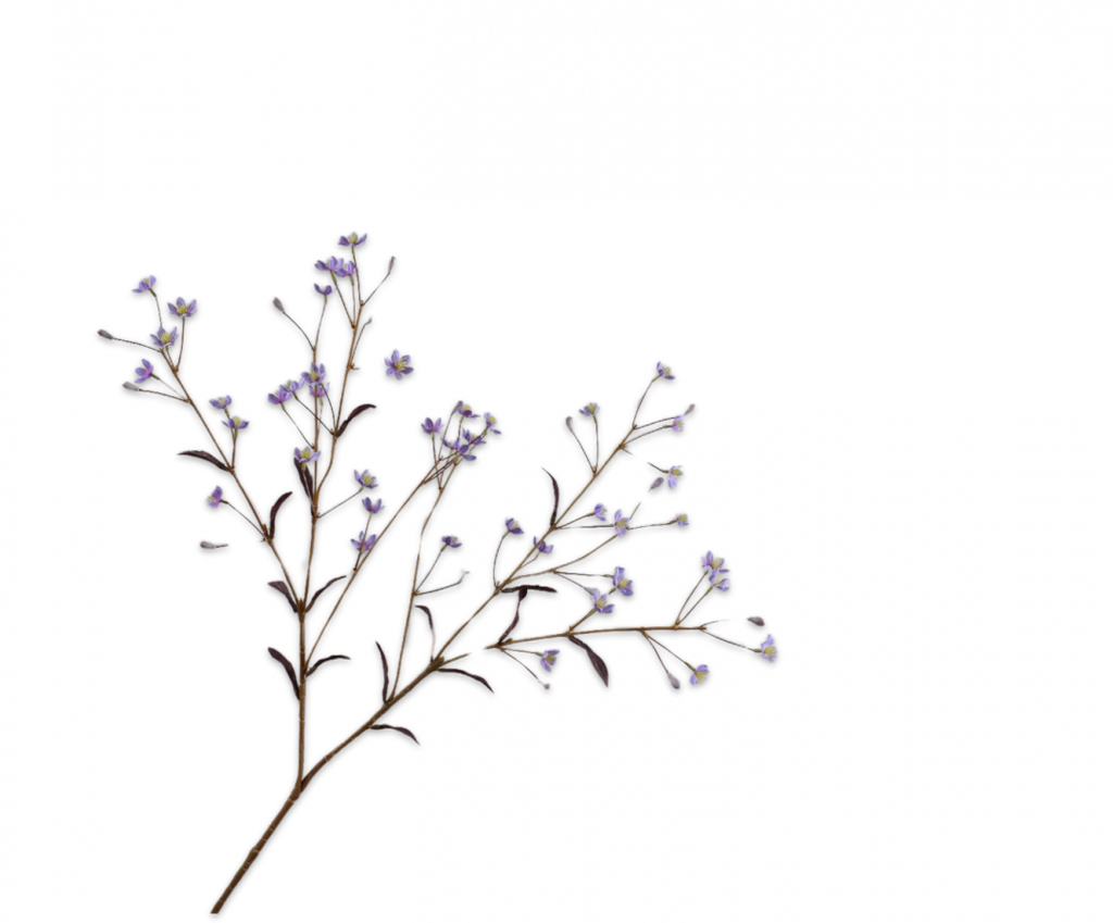 Thalictrum 89cm Purple