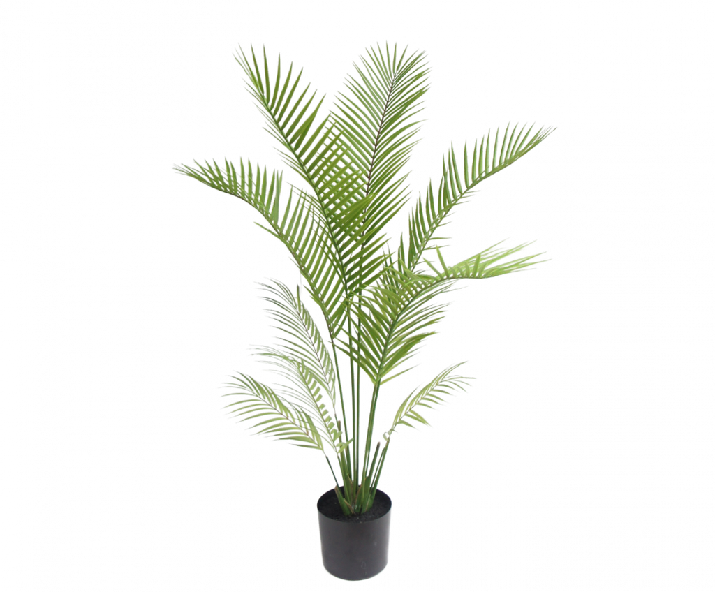 Palm | Palmier 120cm