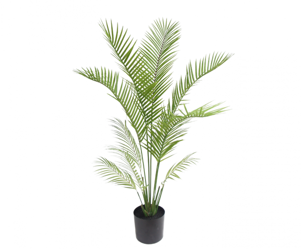 Palm | Palmier 120cm