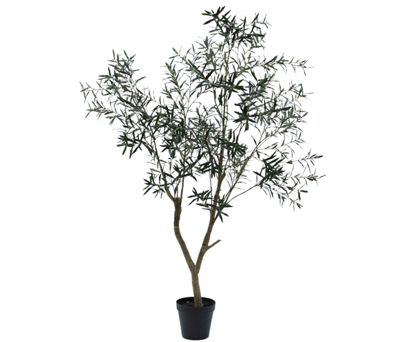 Olive | Olivier 240cm
