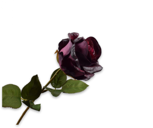 Rose 57cm RealTouch Burgundy