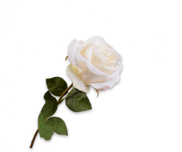 Rose 57cm RealTouch Cream